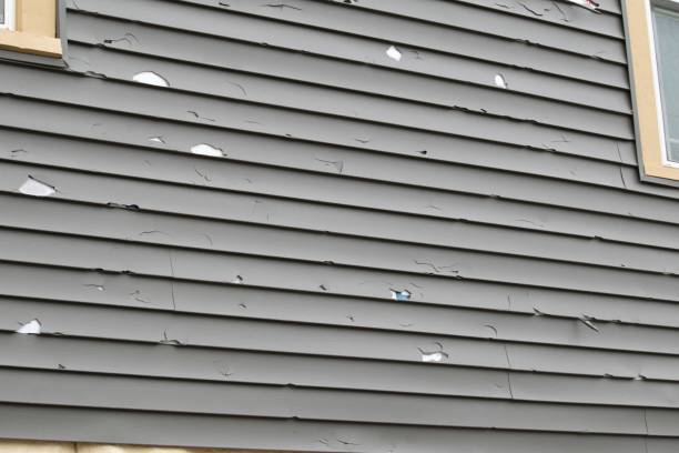 Best Engineered Wood Siding  in Columbus, MN